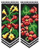 AFP 4 oclock Begonias