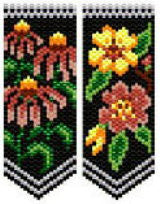 AFP Coneflower Primrose