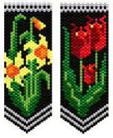 AFP Daffodil Tulip