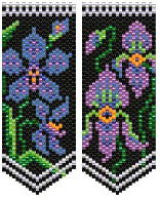 AFP Blue Orchids