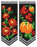 AFP Mums Pumpkins
