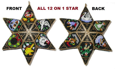 all twelve days of Christmas peyote images on one six point star