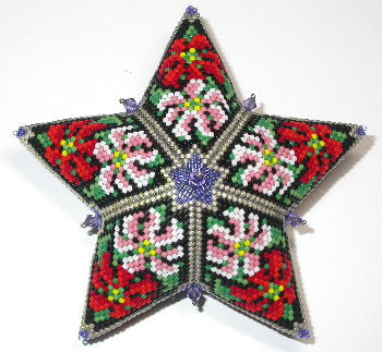 2020 1 C. Dec Poinsettia Birthstone star